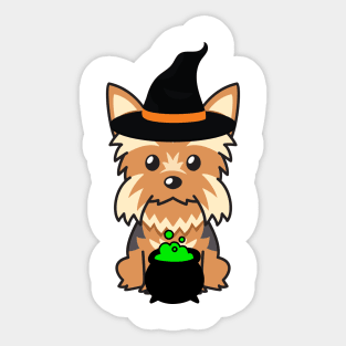 Cute yorkshire terrier dog is a witch Sticker